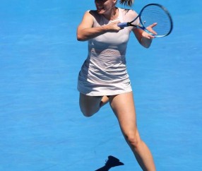 AYX-关于莎拉波娃新星挺进下一轮表现惊艳，MAD未来可期！的信息